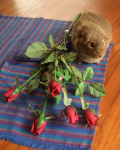 Be mine4
