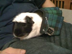 Mariusz in his Campbell kilt (DawnC)
