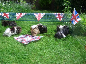 The Jubilee Seven (fullsize)