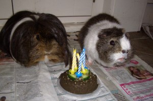Victor and Dougall share 5th birthday cake