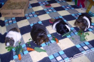 Four have birthday breakfast