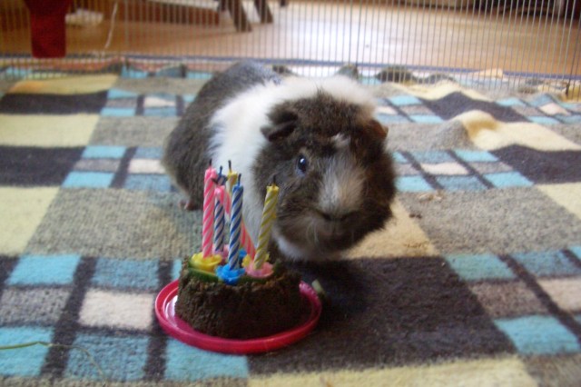 Victor and his 6th cake