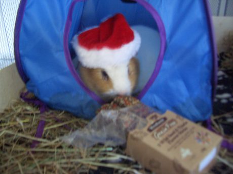 Kevin checks his tasty sticks