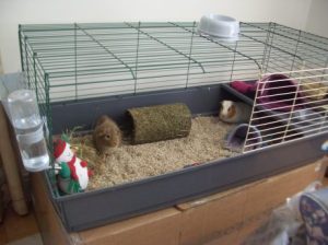 Colman and Kevin 30.4.12