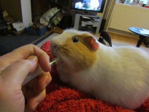 Kevin and his morning meds