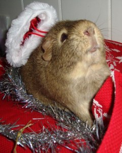 colman throws off hat