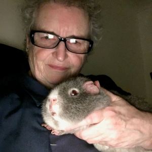 Mummy stayed up all night with Midge