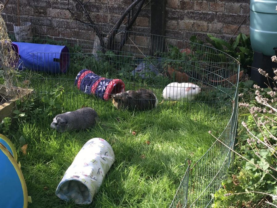 last day of summer 2018