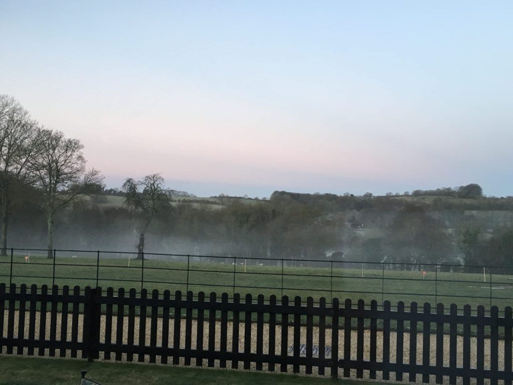 View from the cottage