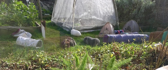 first day of spring grass 2019