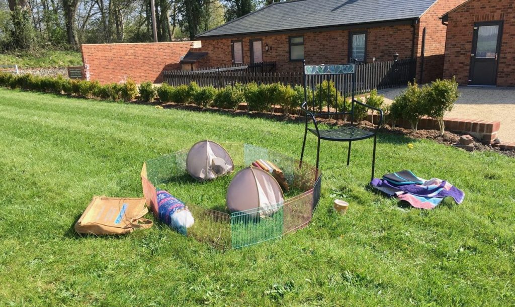 lawn mowing in Hampshire