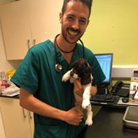 Dr David with a cat or a puppy