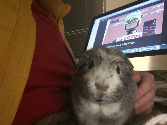 Bertie selfie watching skijumping