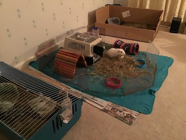 camping in the living room