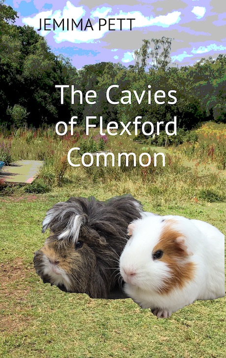CaviesFlexfordCommon1